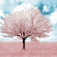 [Avatar]